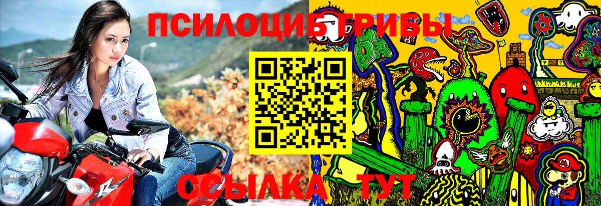 Псилоцибиновые грибы Magic Shrooms Десногорск